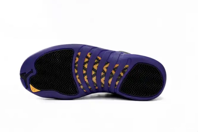 Cheap Purple Field Air Retro 12 CT8013-057 Jordan 0324
